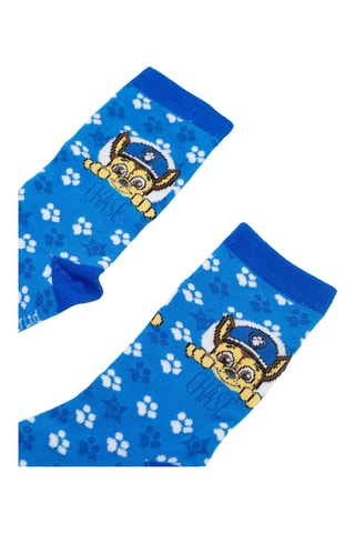 Calcetines y taza de cerámica Marshall y Chase La Patrulla Canina - Azul ­- 32,5 cl