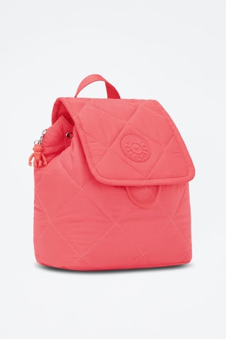 Rugtas Adino Roze