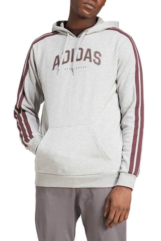 Sudadera regular fit con capucha - Gris