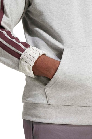 Sudadera regular fit con capucha - Gris