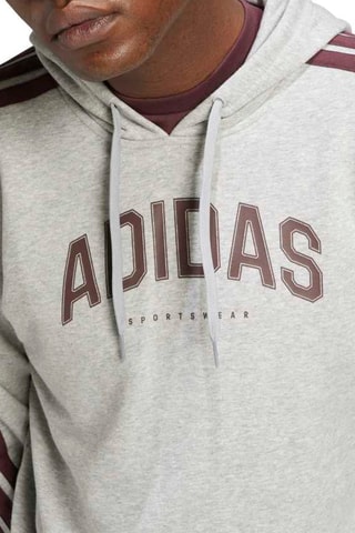 Sudadera regular fit con capucha - Gris
