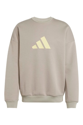 Sudadera loose fit - Beige