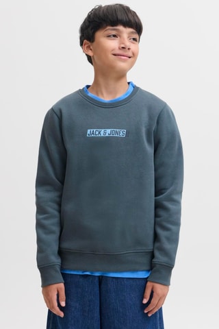 Sudadera regular fit - Gris - Jack&Jones Kids