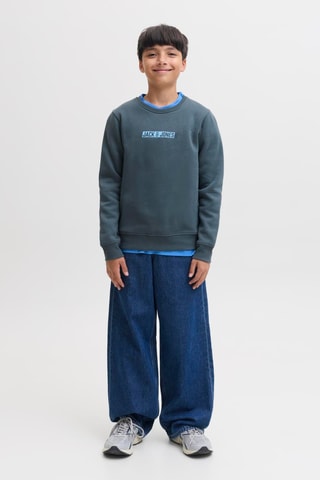 Sudadera regular fit - Gris - Jack&Jones Kids