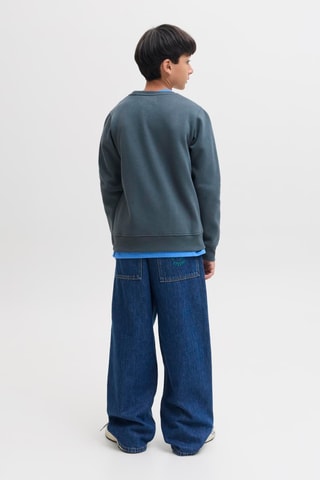 Sudadera regular fit - Gris - Jack&Jones Kids