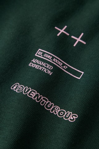 Sudadera de algodón orgánico con capucha - Verde oscuro - Name it Kids