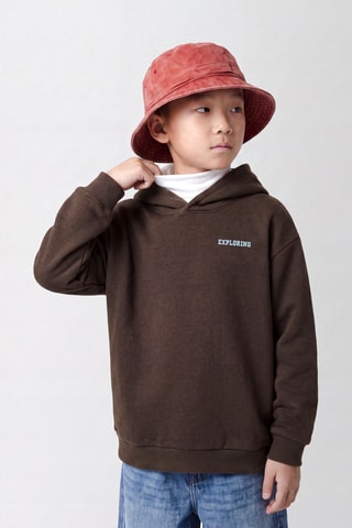 Sudadera de algodón orgánico con capucha - Marrón - Name it Kids