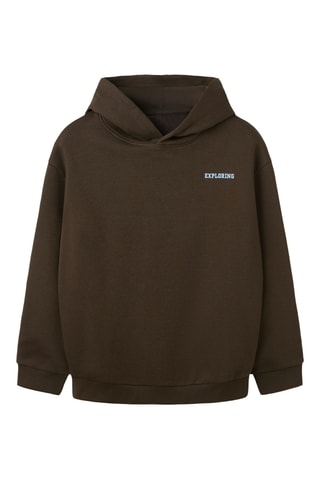 Sudadera de algodón orgánico con capucha - Marrón - Name it Kids
