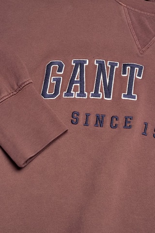 Sweat - Marron