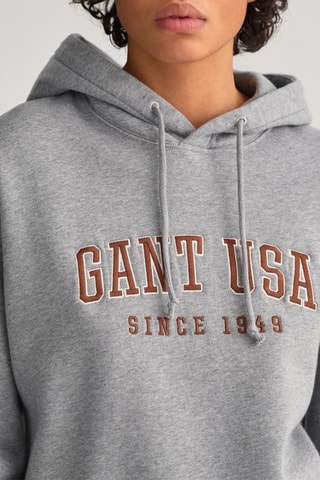 Sweat à capuche - Gris
