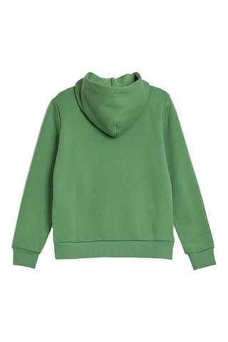 Sweat à capuche - Vert clair