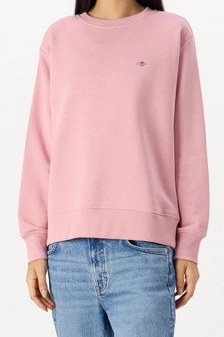 Sweat - Rose
