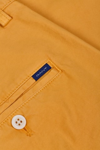 Chino - Jaune
