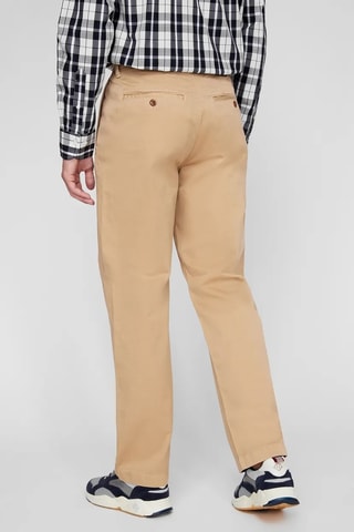 Chino - Camel