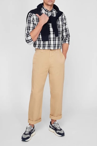 Chino - Camel
