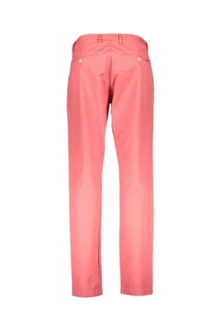 Chino - Rose