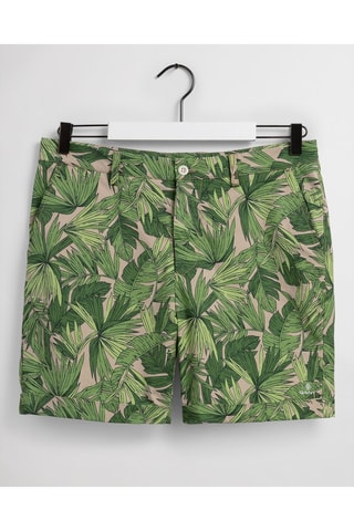 Short straight - Vert et beige