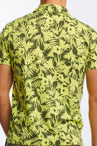 Polo regular - Vert citron et gris foncé