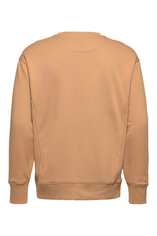 Sweat en coton biologique - Marron