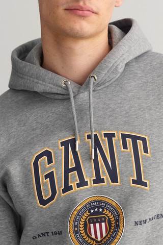 Sweat à capuche - Gris clair chiné
