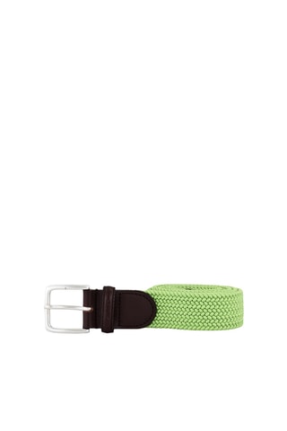 Ceinture - Vert clair et marron foncé