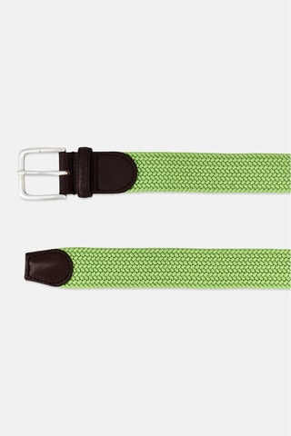 Ceinture - Vert clair et marron foncé