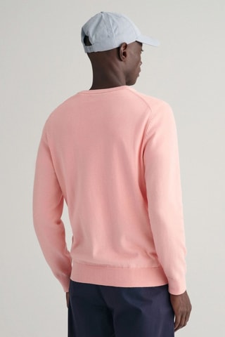 Pull regular - Rose