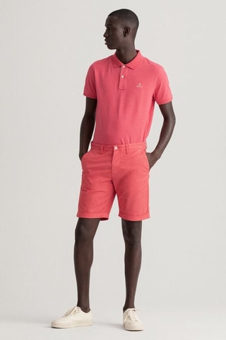 Short regular - Rose