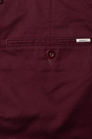 Chino regular - Bordeaux