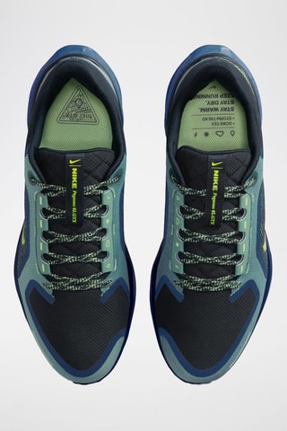 Nike Pegasus 41 Gore-Tex - Kaki
