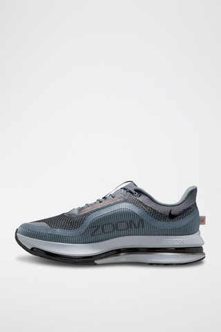 Nike Pegasus Premium - Gris