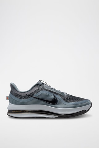 Nike Pegasus Premium - Gris