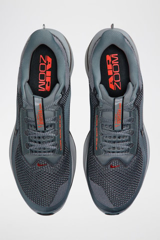 Nike Pegasus Premium - Gris