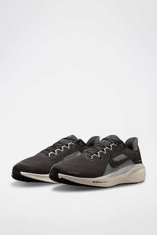 Pegasus 41 - Anthracite