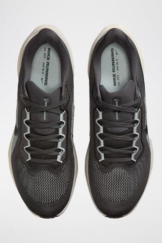 Pegasus 41 - Anthracite