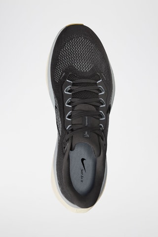 Pegasus 41 - Anthracite