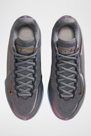 James LeBron XXIII Shut Up And Dribble - Gris