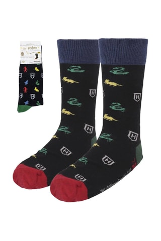 4 paires de chaussettes Harry Potter - Multicolore