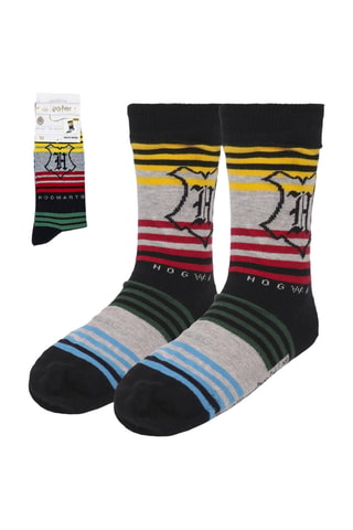 4 paires de chaussettes Harry Potter - Multicolore