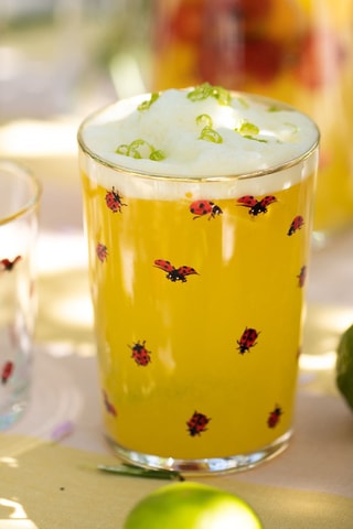 4 verres - 51 cl