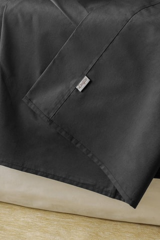 Perkalkatoenen Laken 79 Draad/cm² - Antraciet
