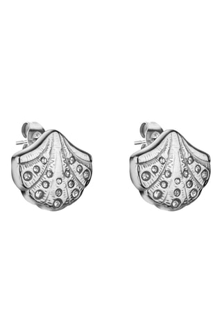Set CoralCove - Zirkonia’s
