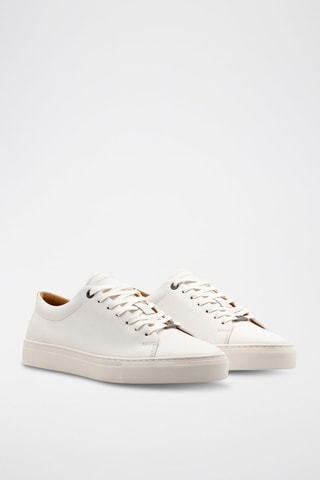 Leren Sneakers - Wit - Wit