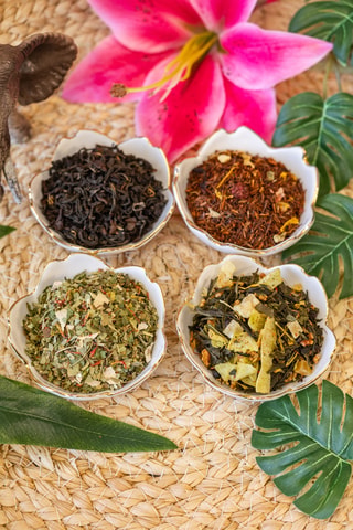Coffret Jungle Tropicale - 14 produits