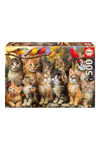 Puzzle Gattino e uccelli - 500 pezzi - Da 11 anni