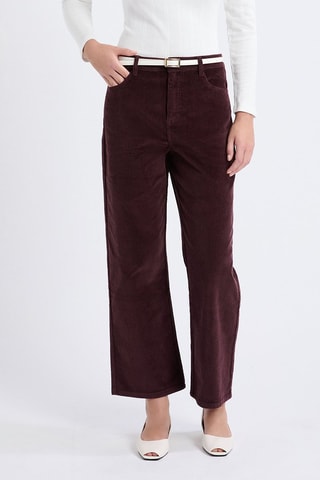 Pantalon en velours Velvet - Marron