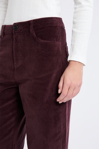 Pantalon en velours Velvet - Marron
