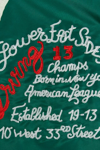 Blouson - Varsity Princeton 2 - Vert