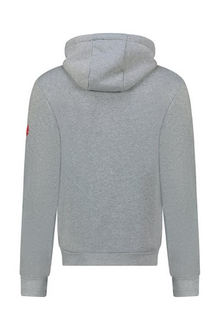 Sudadera con capucha Gasicana - Gris jaspeado