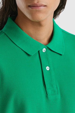 Polo - Verde
